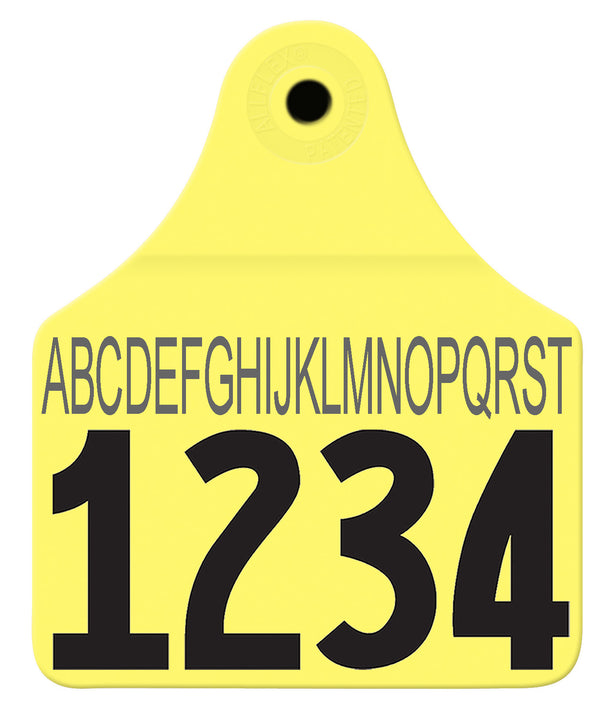 Allflex Large Male Layout 2