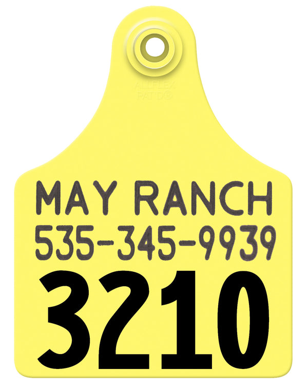 Allflex Maxi Layout 4