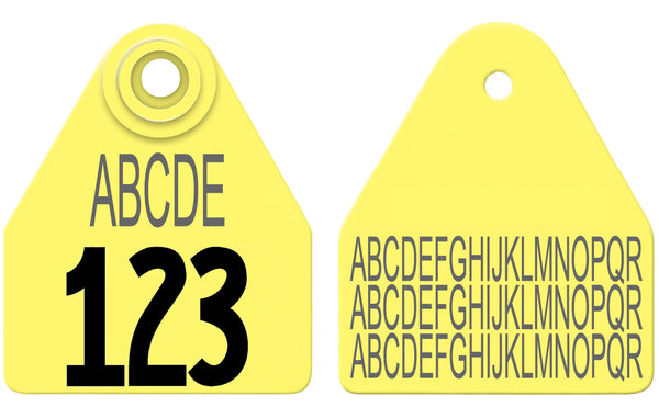 Allflex Medium Layout 19