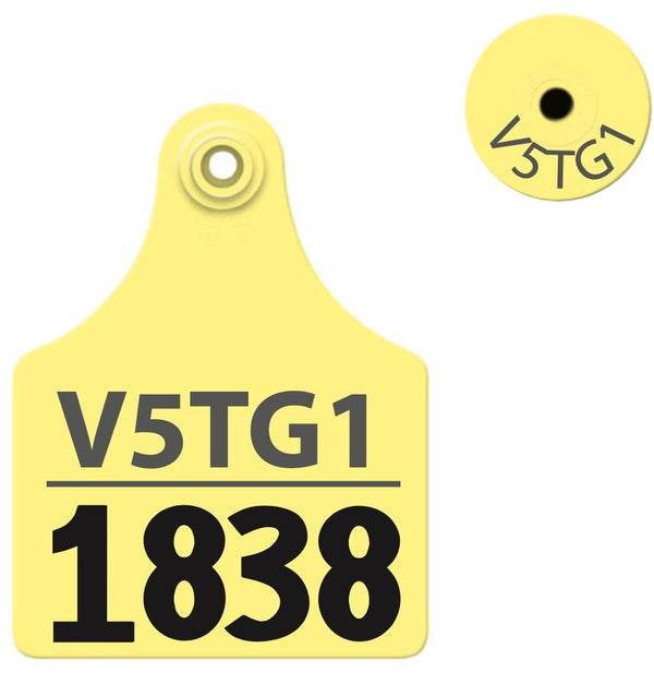 Allflex TPWD - Maxi Layout 2 - Yellow