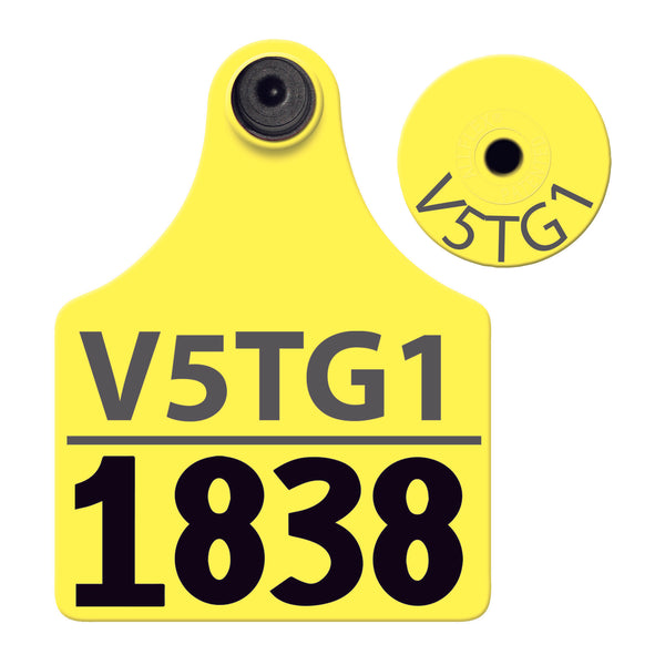 Allflex TPWD - Maxi Layout 2 (Tamperproof) - Yellow