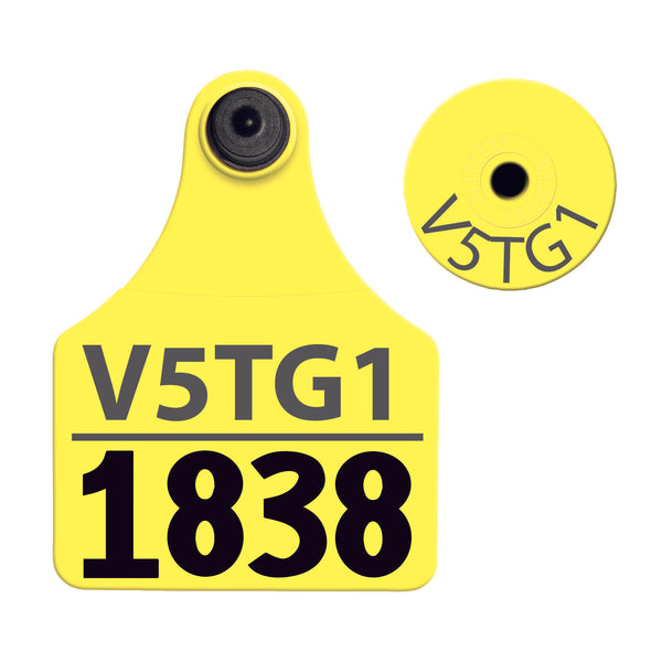 Allflex TPWD - Large Layout 2 (Tamperproof) - Yellow