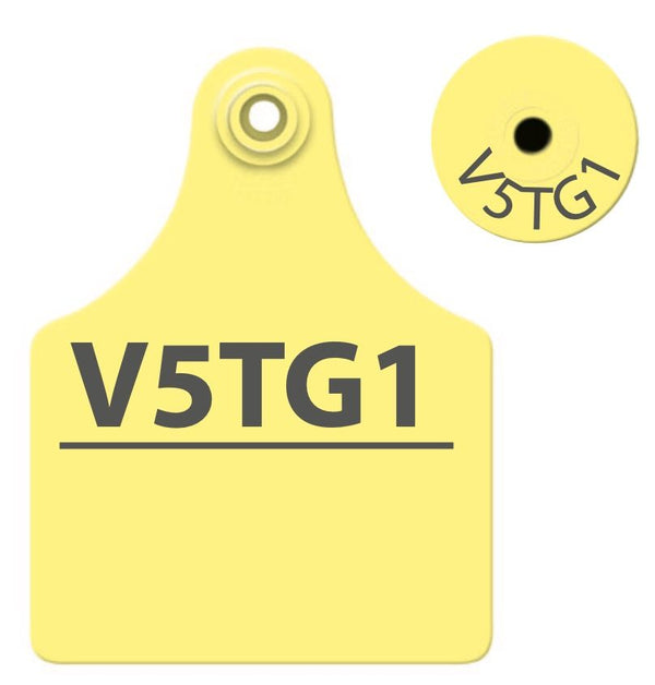 Allflex TPWD - Maxi Layout 1 - Yellow