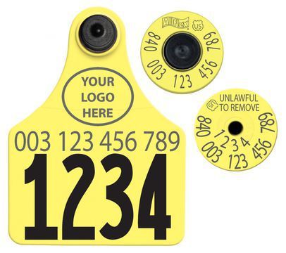 Allflex Allflex USDA Large FDX Matched Pair Set Layout 3 (Tamperproof) - Yellow