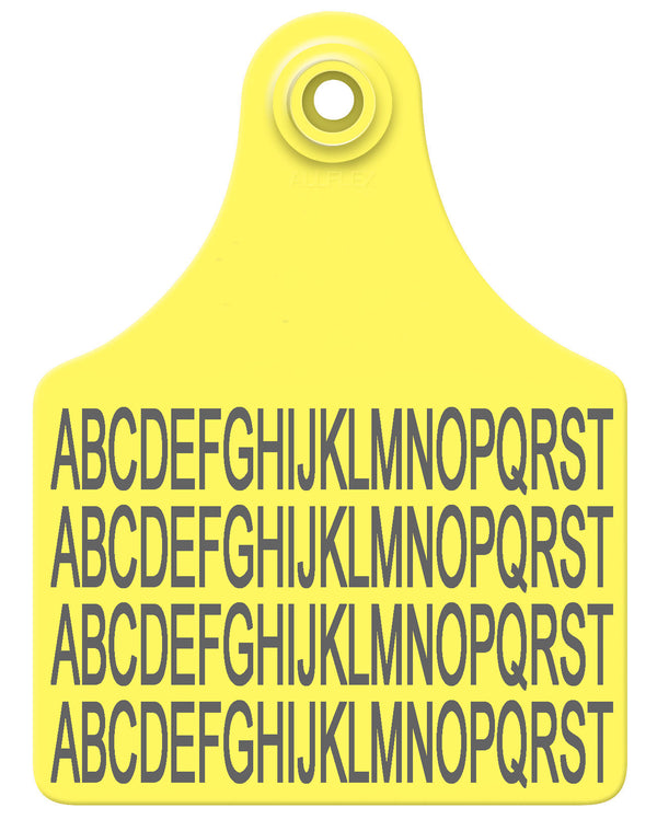 Allflex Maxi Layout 7