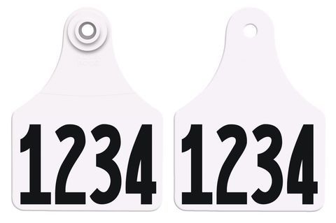 Allflex Allflex Large Layout 1R - Yellow