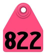 Allflex Allflex Medium Layout 1 - Yellow