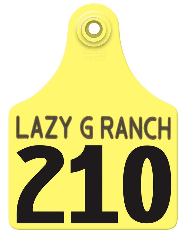 Allflex Maxi Layout 3