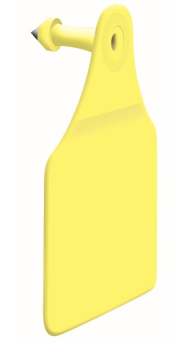 Allflex Large Male Blank in bags of 25 (Male Tags)