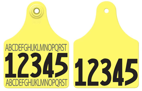 Allflex Maxi Layout 69