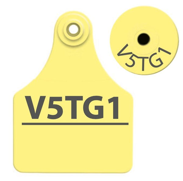 TPWD - Large Layout 1 - Yellow – DeerTags.com