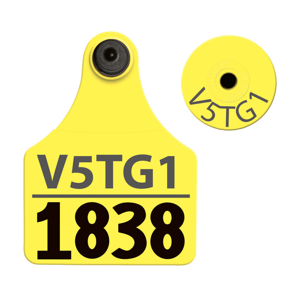 Tpwd Register Sticker TPWD - Large Layout 2 (Tamperproof) - Yellow – DeerTags.com